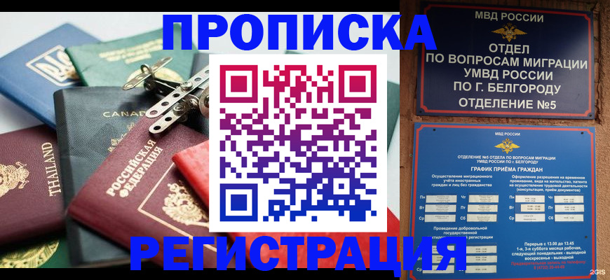 временная регистрация недорого в Ленинградской области